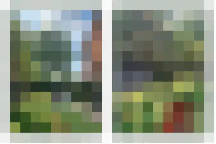 Burgemeester Brandtlaan 2 Velp thumbnail 44