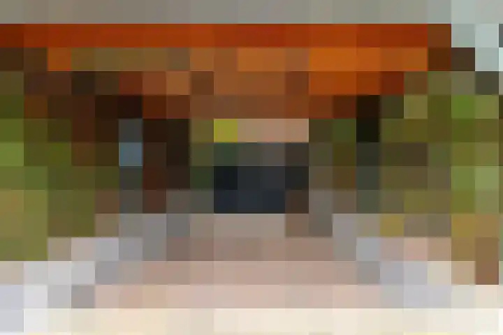 Burgemeester Brandtlaan 2 Velp thumbnail 49