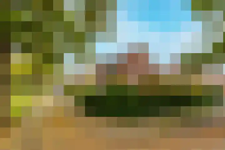 Burgemeester Brandtlaan 2 Velp thumbnail 5