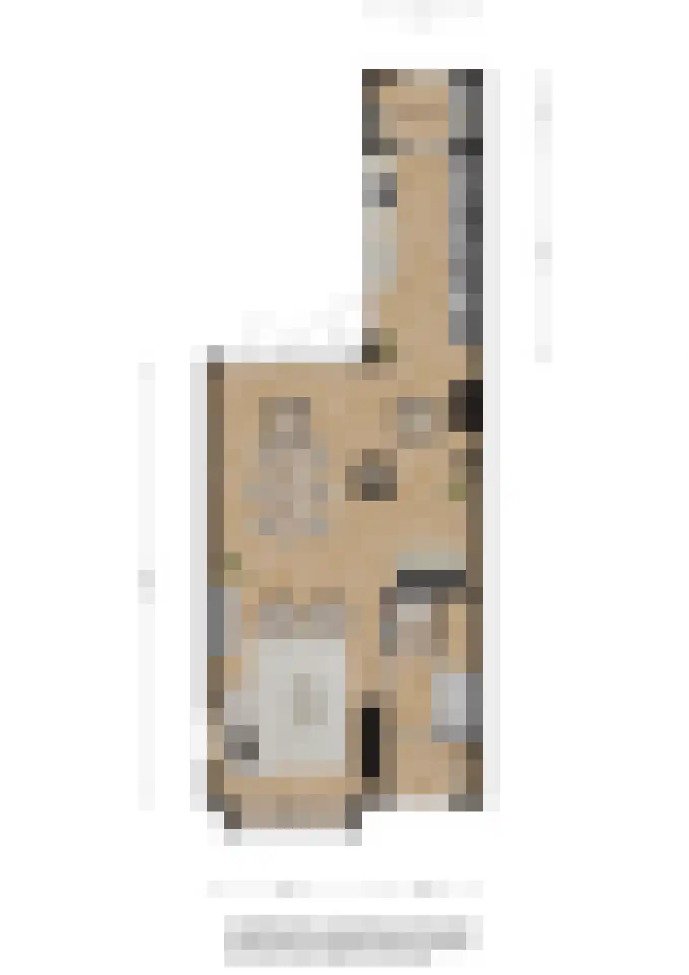 Burgemeester Breebaartlaan 13 Poortugaal thumbnail 10