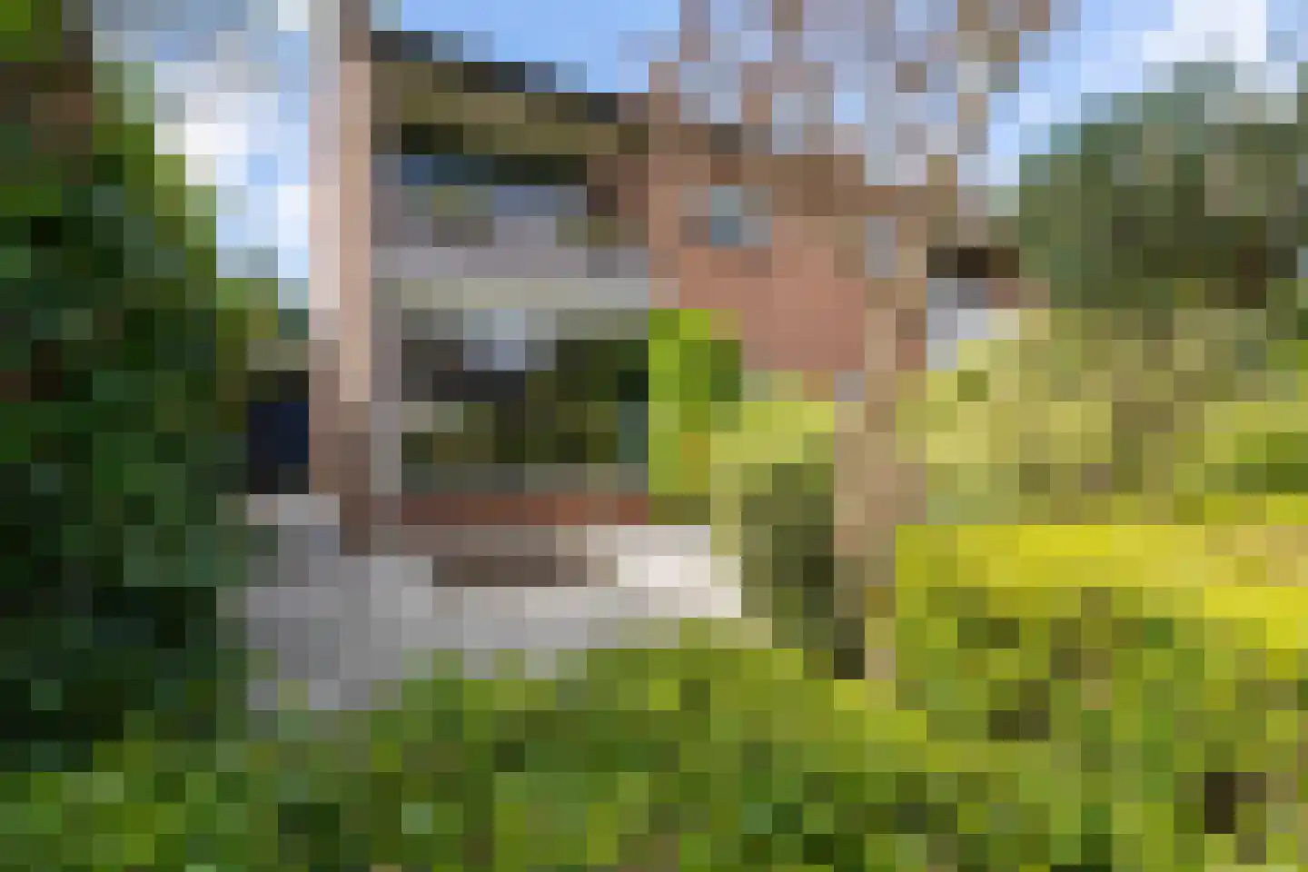 Burgemeester Breebaartlaan 13 Poortugaal thumbnail 7