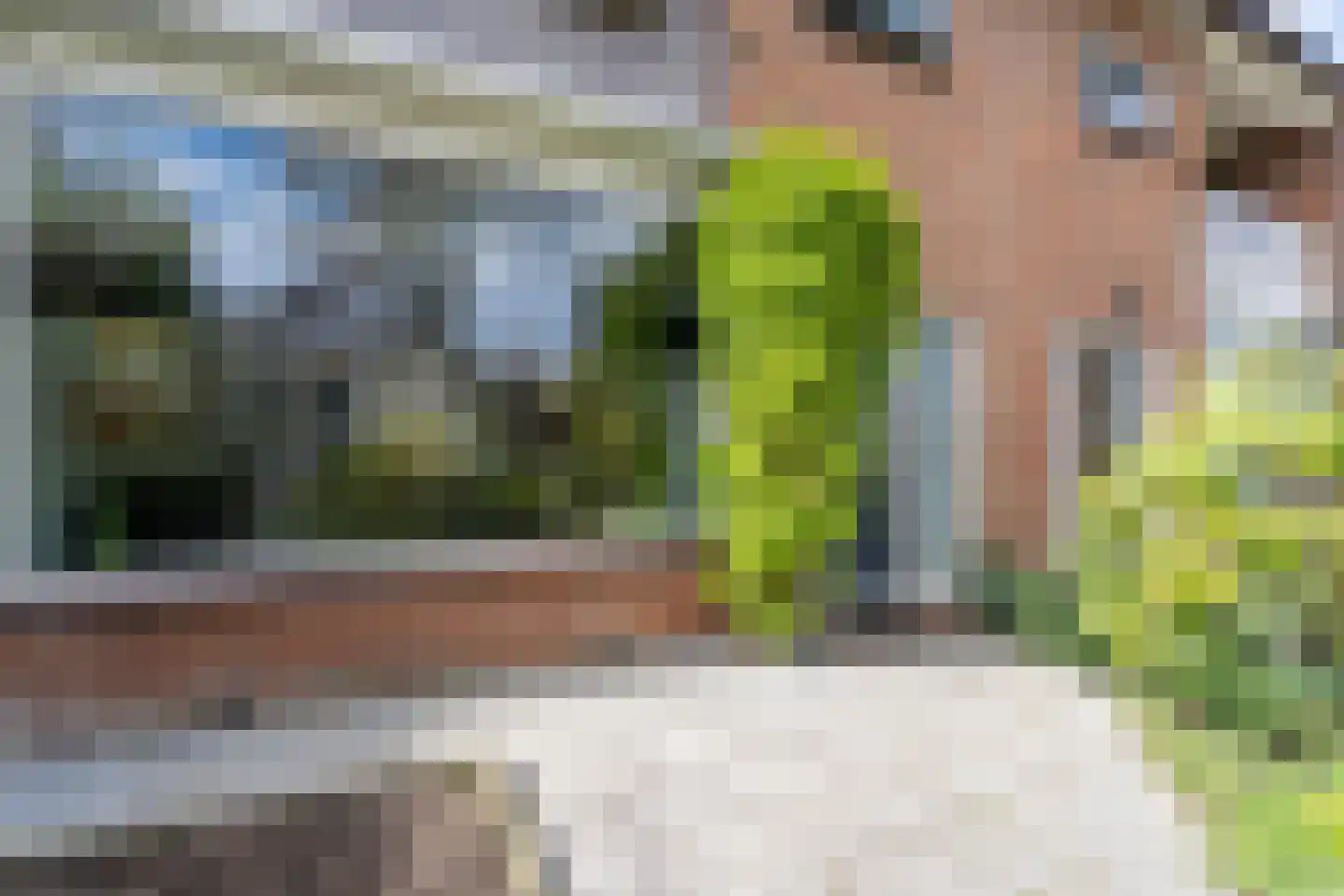 Burgemeester Breebaartlaan 13 Poortugaal thumbnail 8