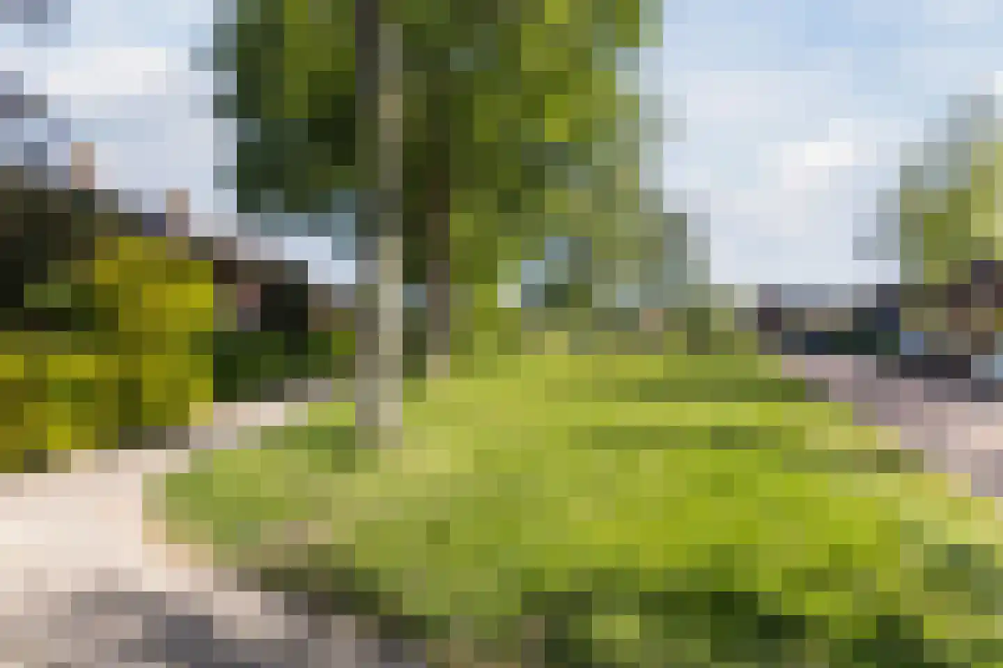 Burgemeester Breebaartlaan 6 Poortugaal thumbnail 45
