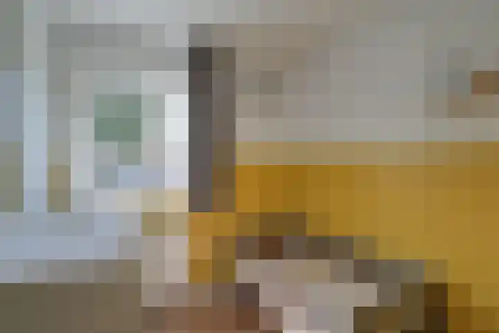 Burgemeester Breebaartstraat 11 Hoogwoud thumbnail 22