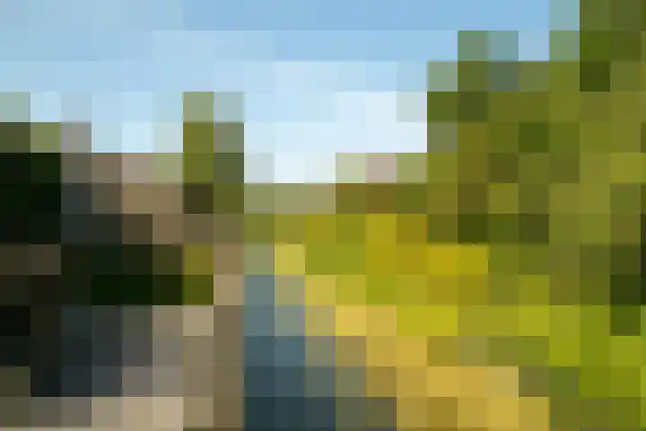 Burgemeester Breebaartstraat 11 Hoogwoud thumbnail 46