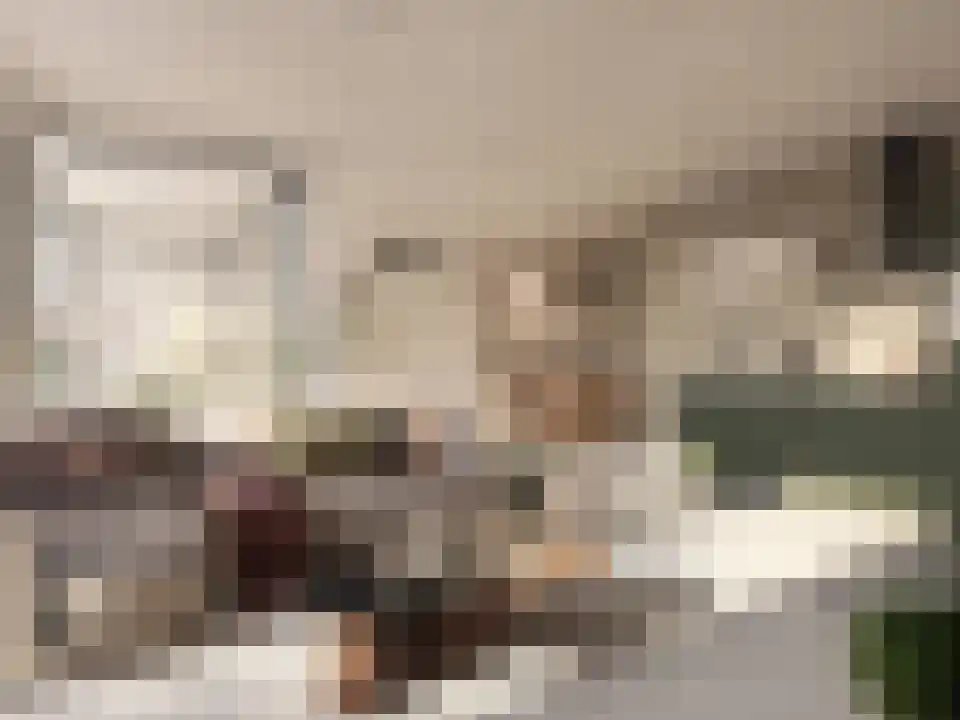 Burgemeester Brokxlaan 143 Tilburg thumbnail 20