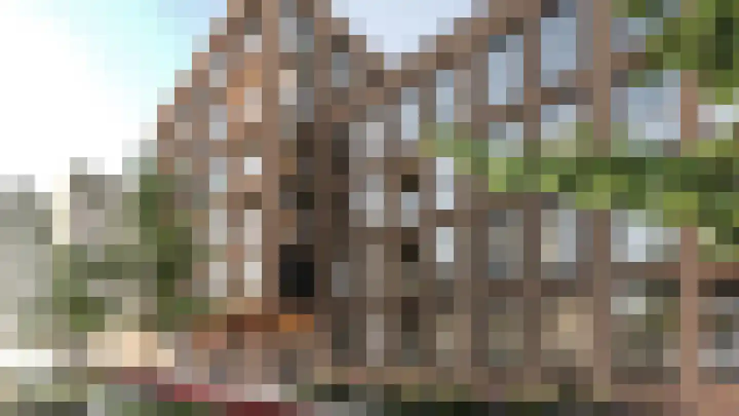 Burgemeester Brokxlaan 145 Tilburg thumbnail 10