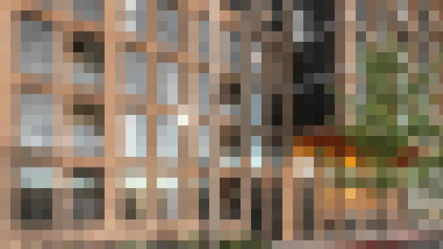 Burgemeester Brokxlaan 145 Tilburg thumbnail 8