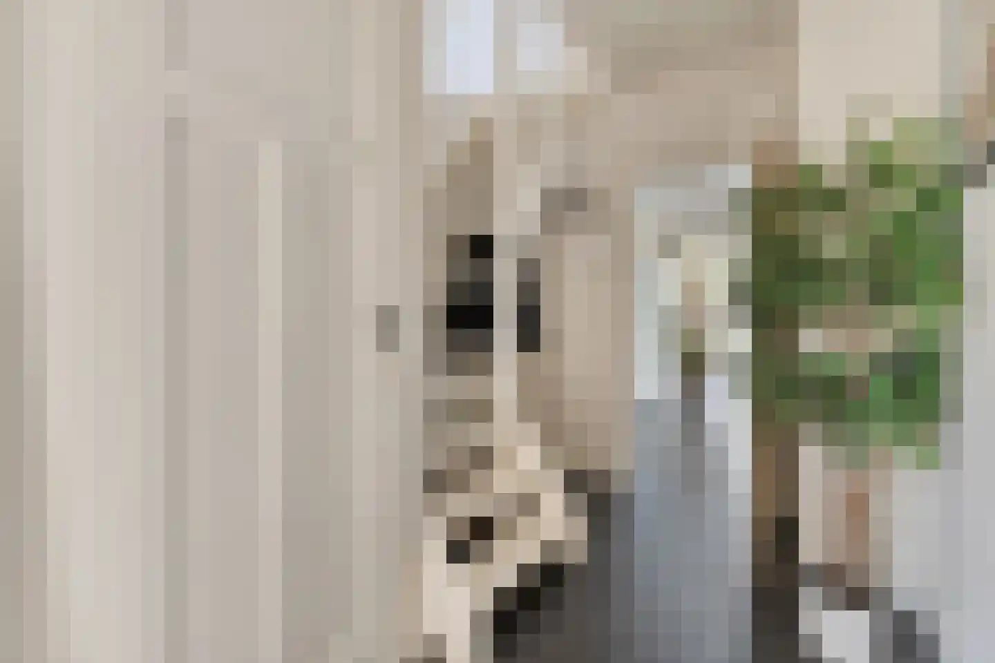 Burgemeester Brouwerstraat 11 Ruinerwold thumbnail 19
