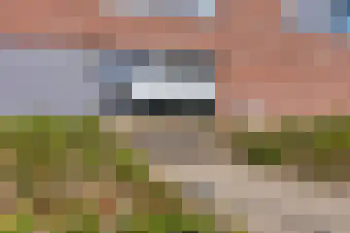 Burgemeester Brouwerstraat 143 Zwijndrecht thumbnail 7