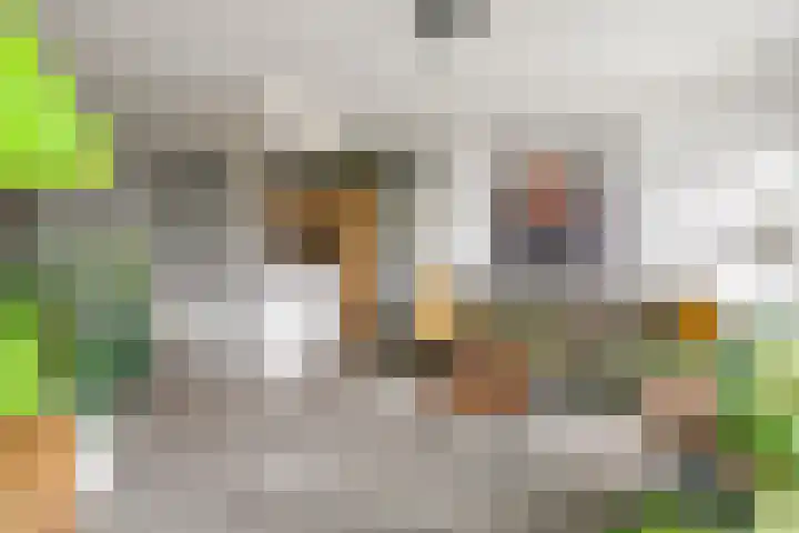 Burgemeester Bruinemanstraat 56 Druten thumbnail 5