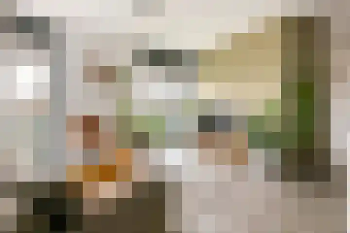 Burgemeester Bruinemanstraat 56 Druten thumbnail 7