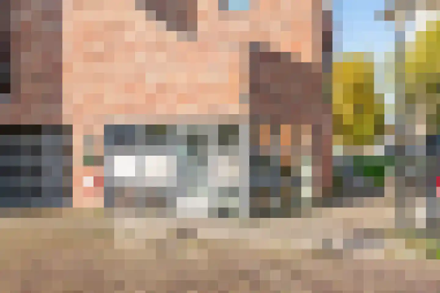 Burgemeester Bruinemanstraat 64 Druten thumbnail 28