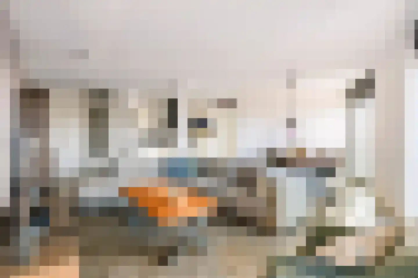 Burgemeester Bruinemanstraat 64 Druten thumbnail 4