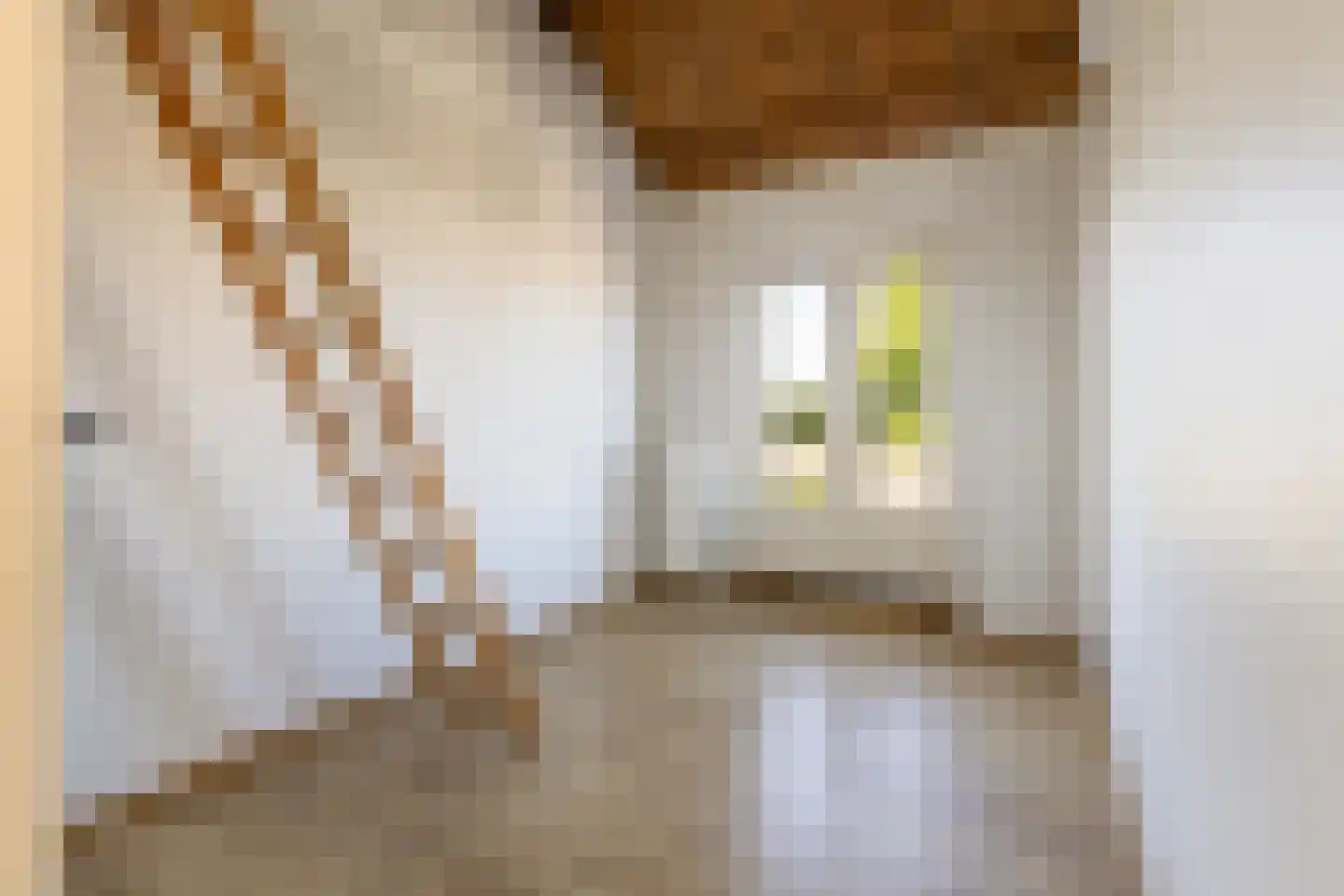 Burgemeester Buijsenstraat 7 Breda thumbnail 4