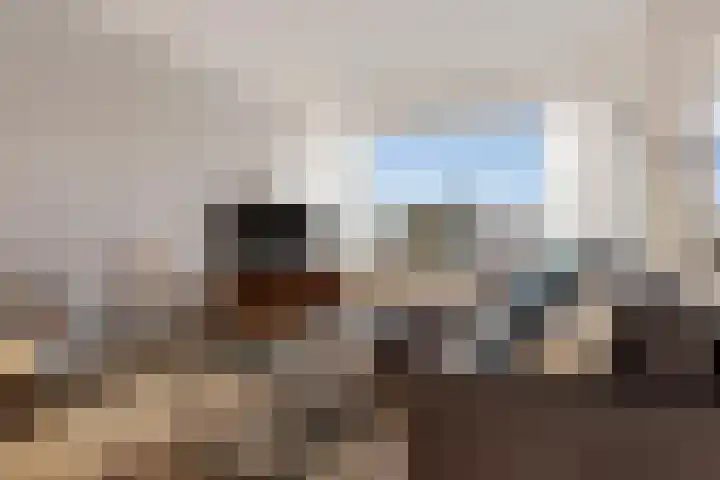 Burgemeester Buiskoolplein 19 Delfzijl thumbnail 18
