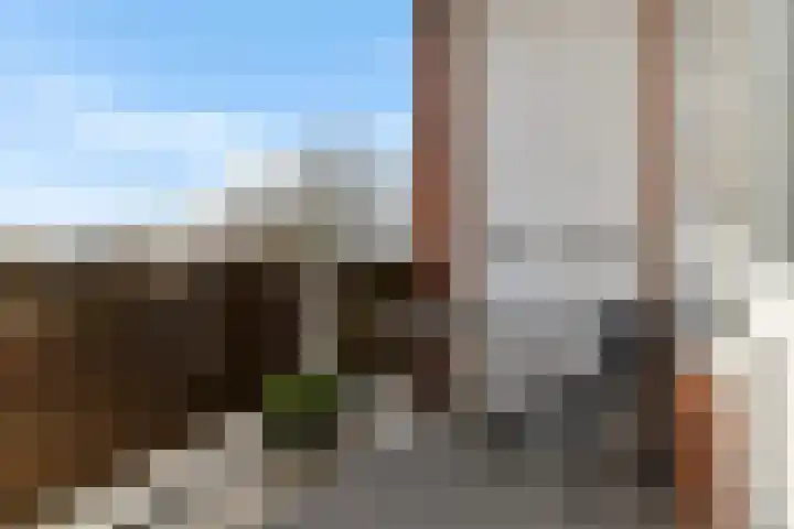 Burgemeester Buiskoolplein 19 Delfzijl thumbnail 22
