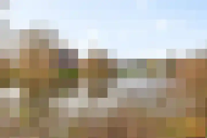 Burgemeester Buiskoolplein 19 Delfzijl thumbnail 5