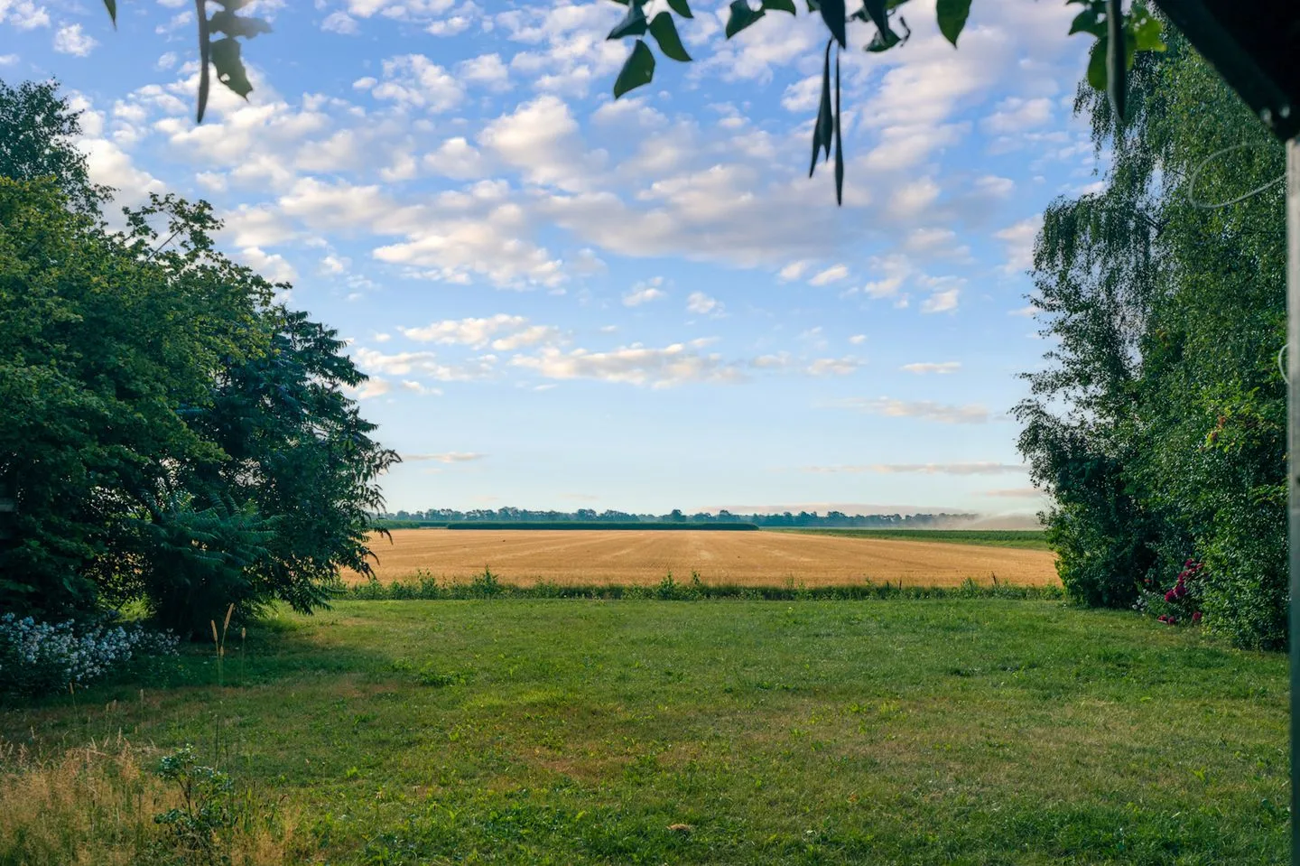 Burgemeester Buiskoolweg 10 Sellingen thumbnail 100