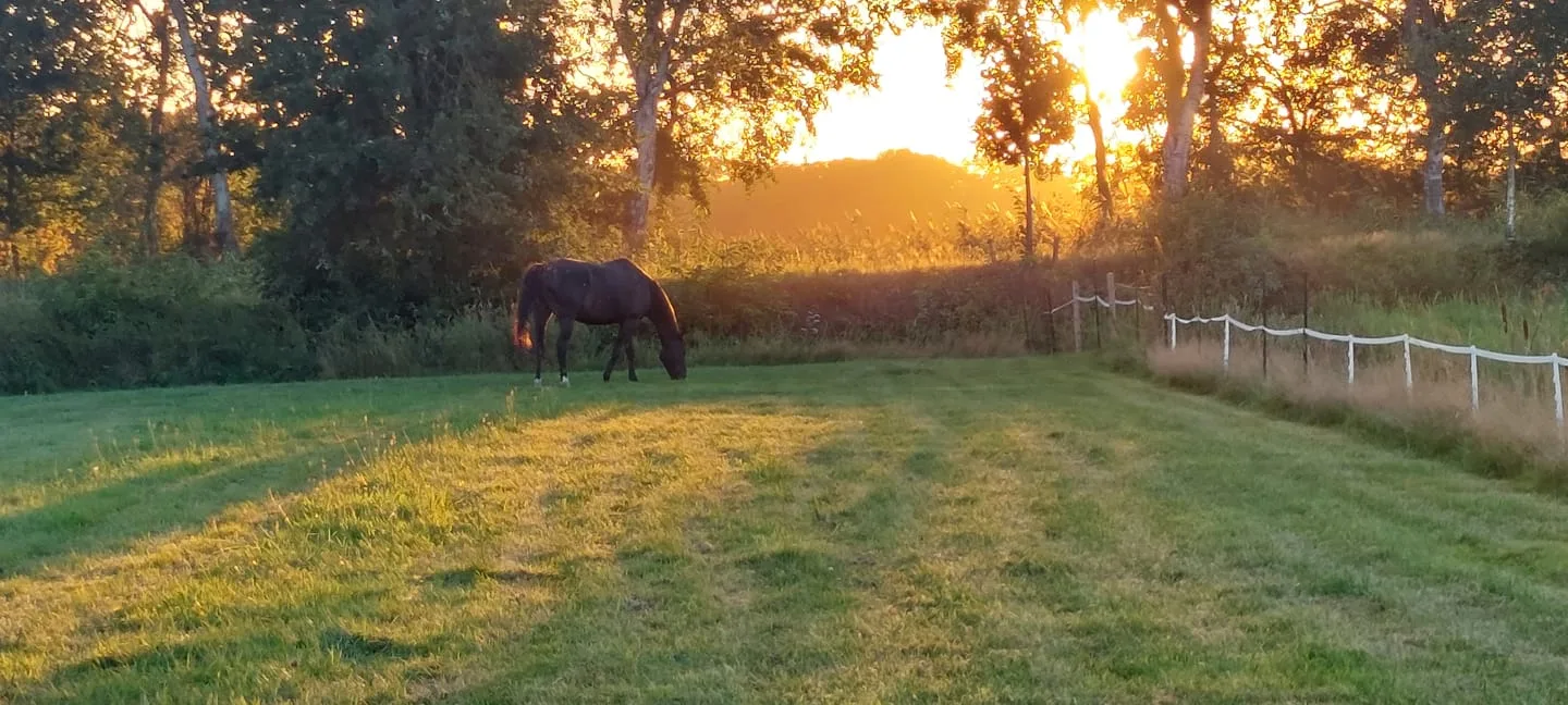 Burgemeester Buiskoolweg 10 Sellingen thumbnail 101