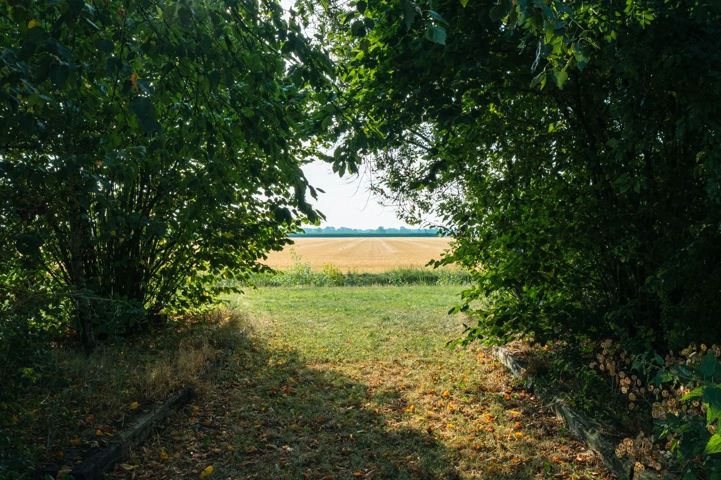 Burgemeester Buiskoolweg 10 Sellingen thumbnail 102