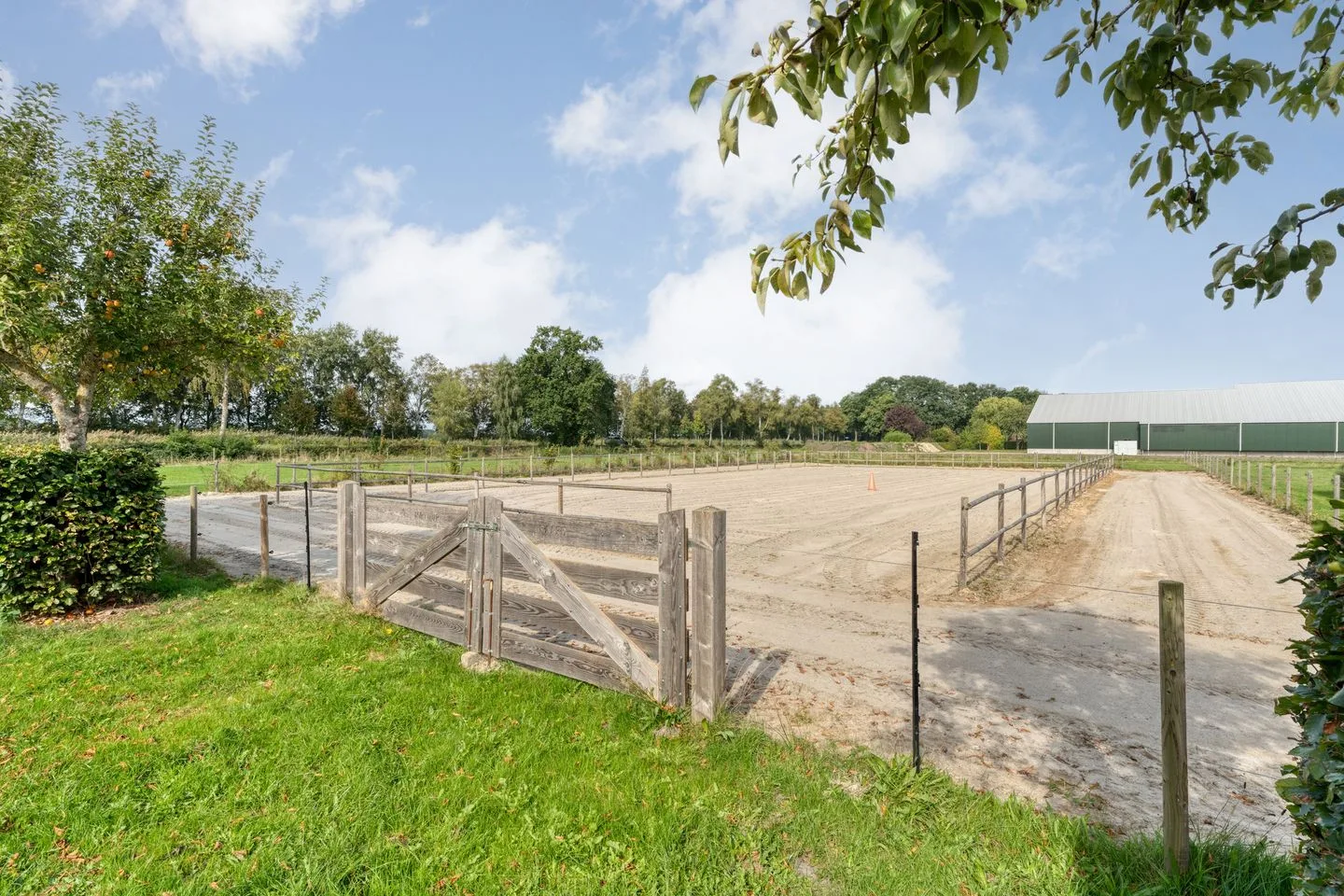 Burgemeester Buiskoolweg 10 Sellingen thumbnail 85
