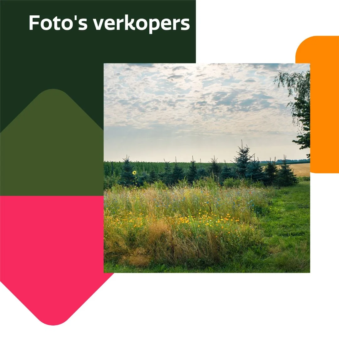 Burgemeester Buiskoolweg 10 Sellingen thumbnail 97