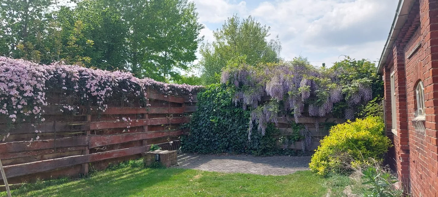 Burgemeester Buiskoolweg 10 Sellingen thumbnail 99