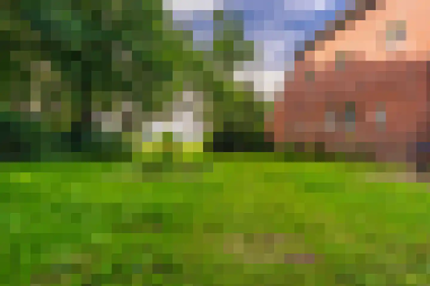 Burgemeester Buiskoolweg 19 Sellingen thumbnail 20