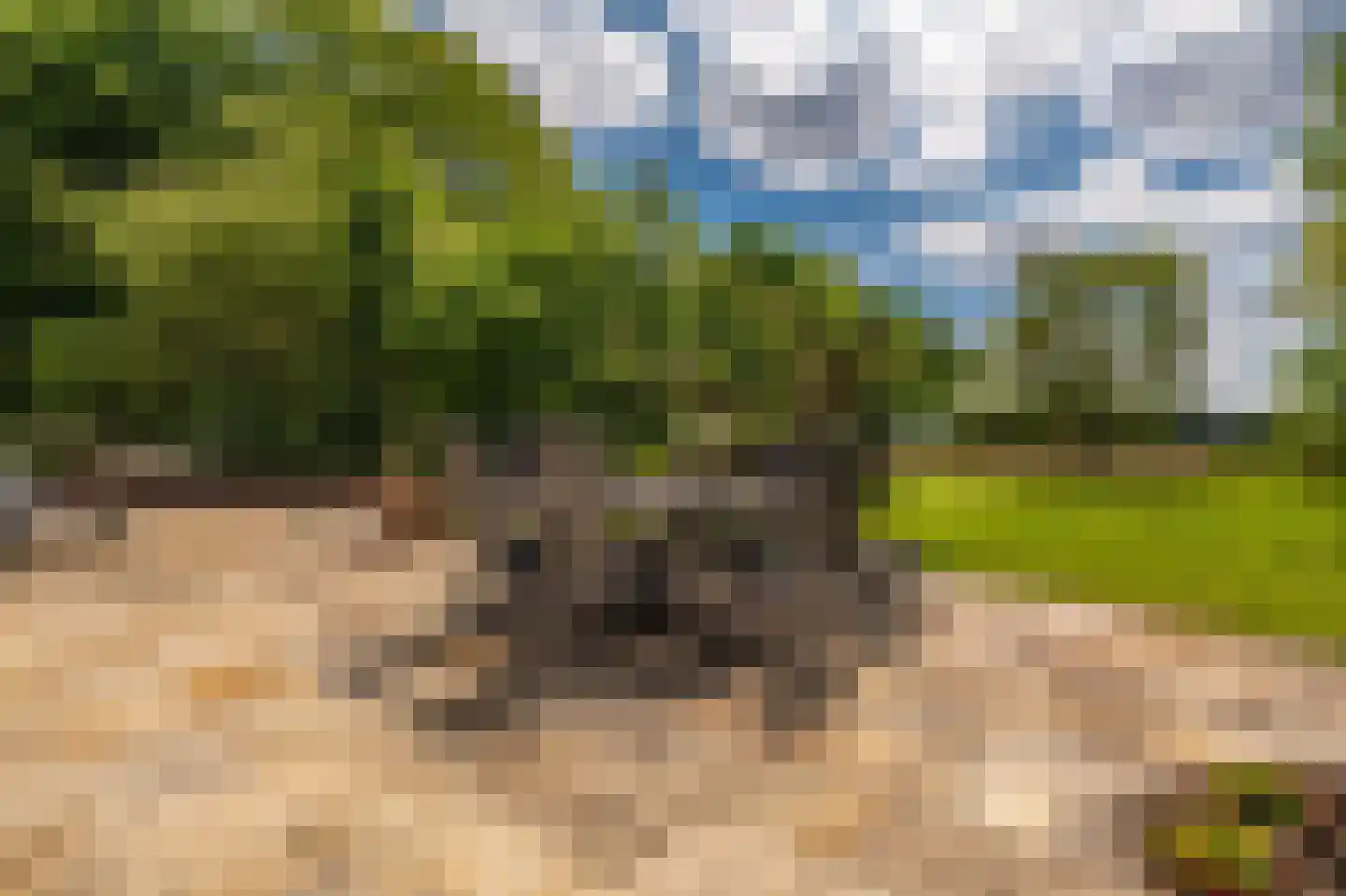 Burgemeester Buiskoolweg 19 Sellingen thumbnail 30