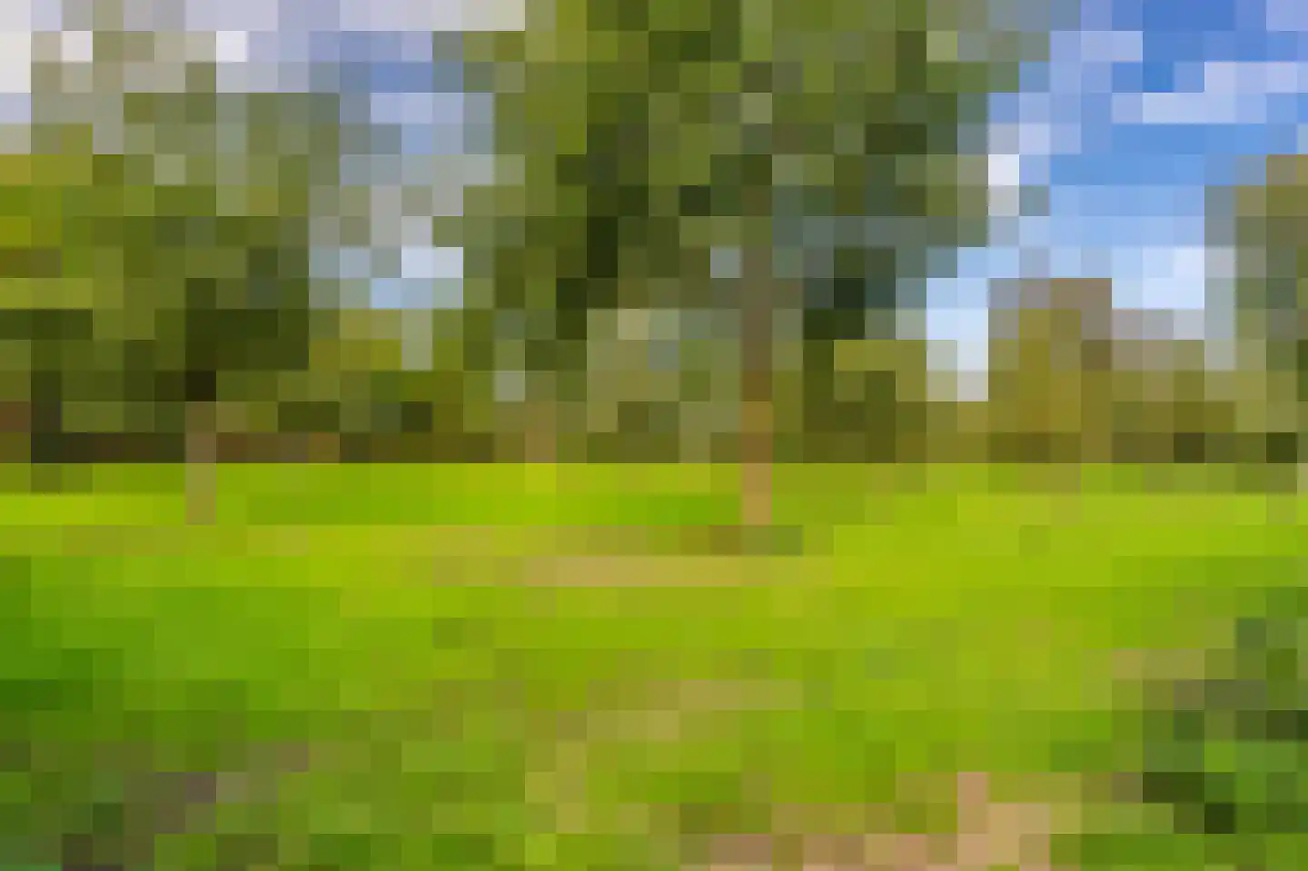 Burgemeester Buiskoolweg 19 Sellingen thumbnail 38