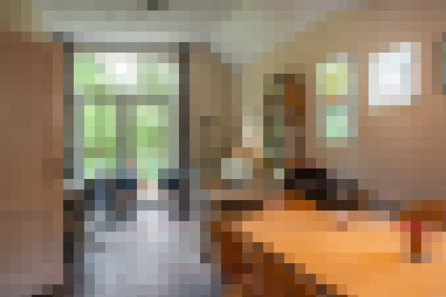 Burgemeester Buiskoolweg 19 Sellingen thumbnail 64