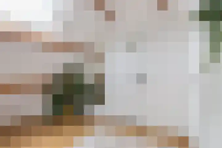 Burgemeester Buitenhofstraat 3 Muntendam thumbnail 10