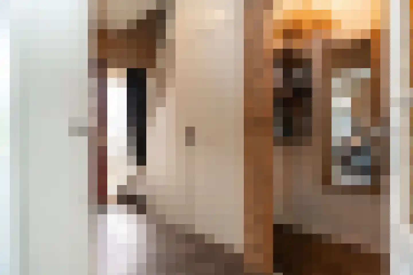 Burgemeester Buitenhofstraat 3 Muntendam thumbnail 18