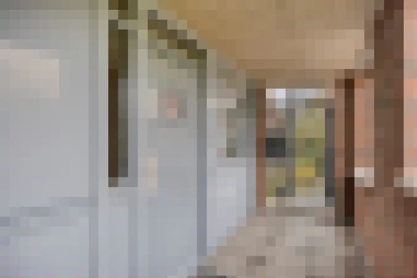 Burgemeester Burgerhof 19 Harmelen thumbnail 23