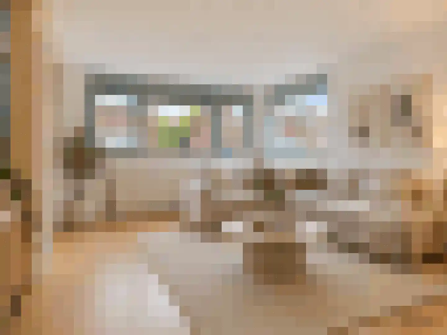 Burgemeester Burgerhof 19 Harmelen thumbnail 6
