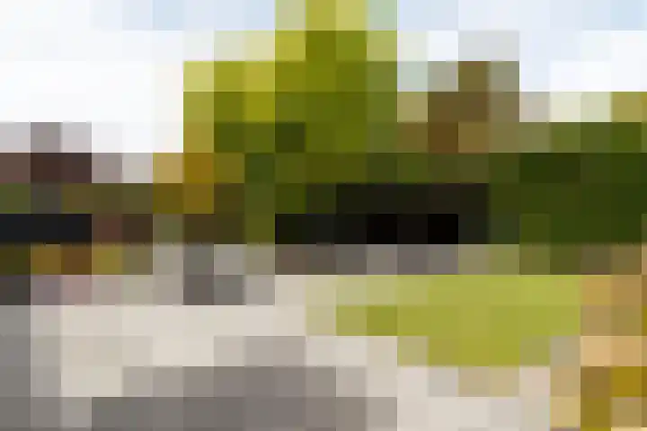 Burgemeester Burgerhof 36 Harmelen thumbnail 27