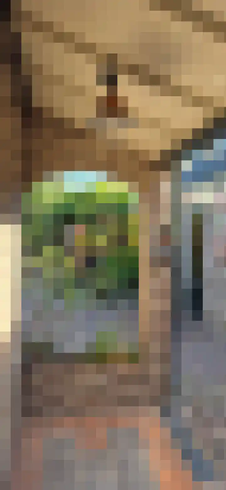 Burgemeester Buskensstraat 20 Uden thumbnail 38