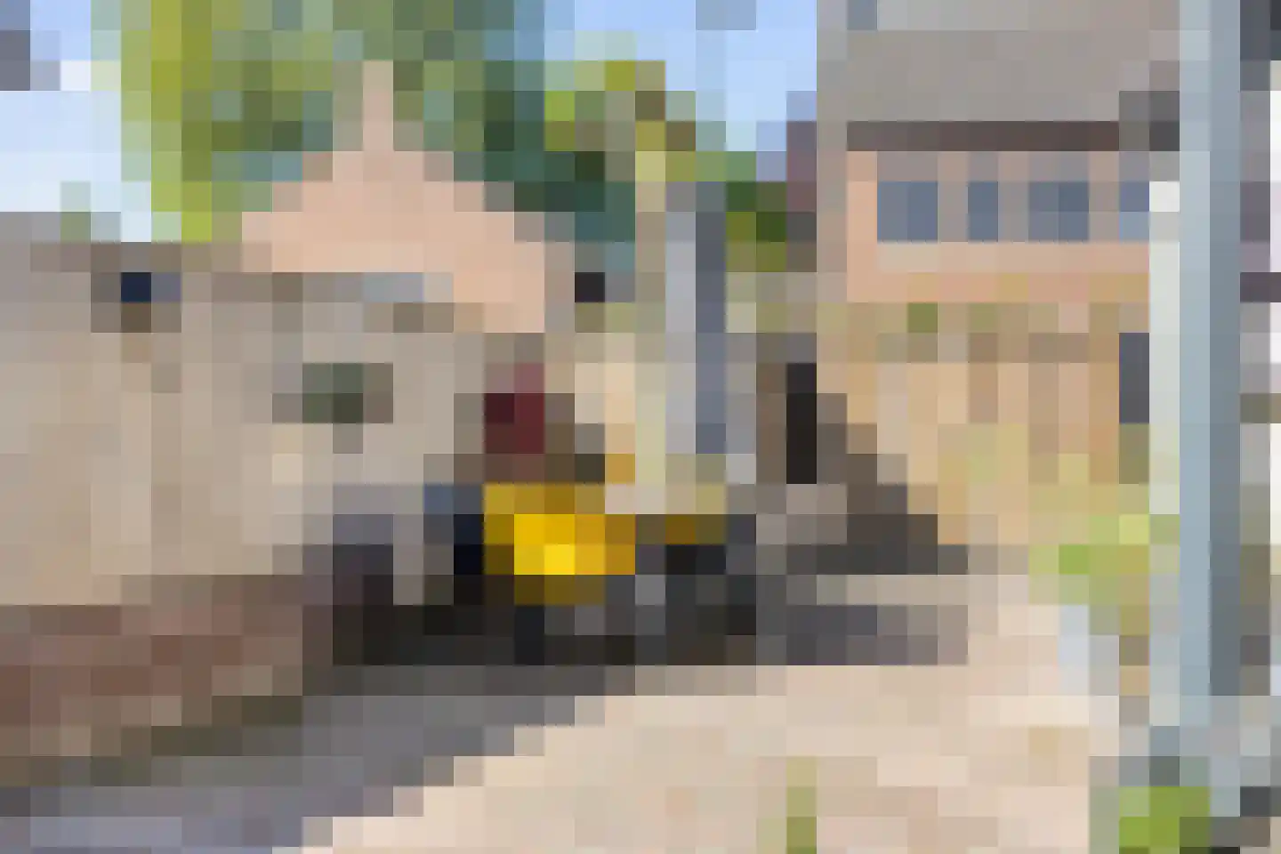 Burgemeester Buskensstraat 22 Uden thumbnail 41