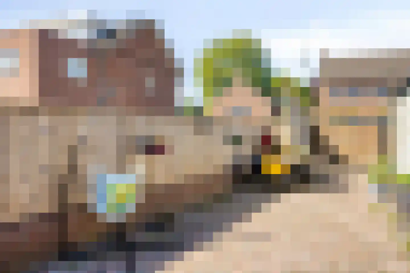 Burgemeester Buskensstraat 22 Uden thumbnail 42