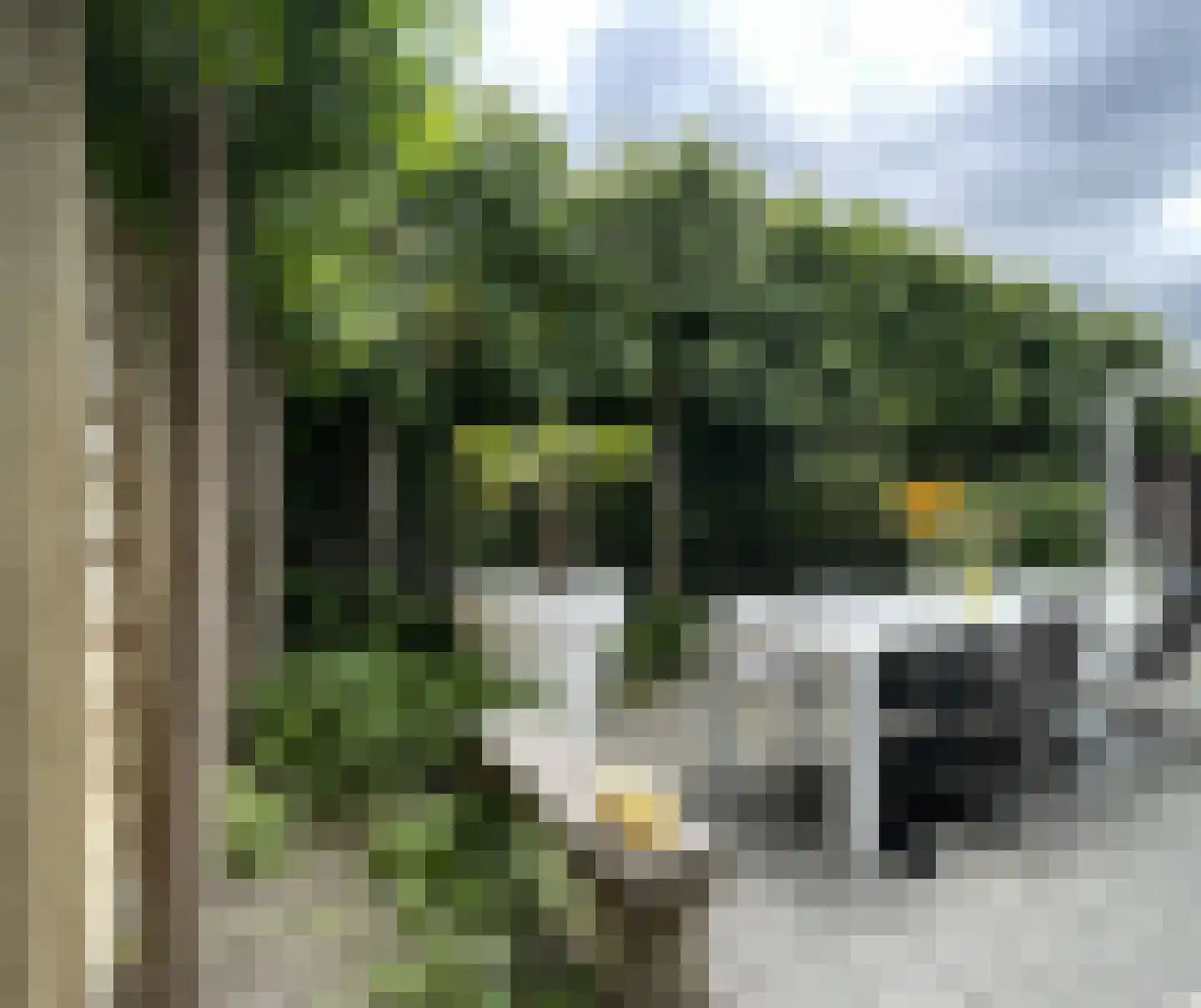 Burgemeester C Koertstraat 6 Wolphaartsdijk thumbnail 50