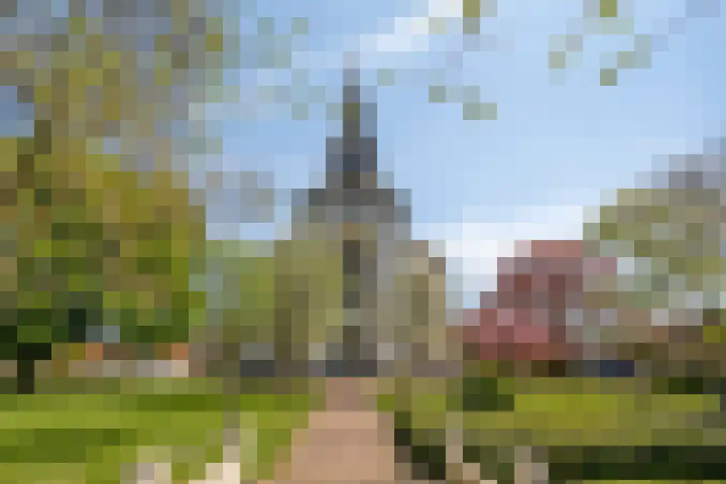 Burgemeester C Koertstraat 6 Wolphaartsdijk thumbnail 52