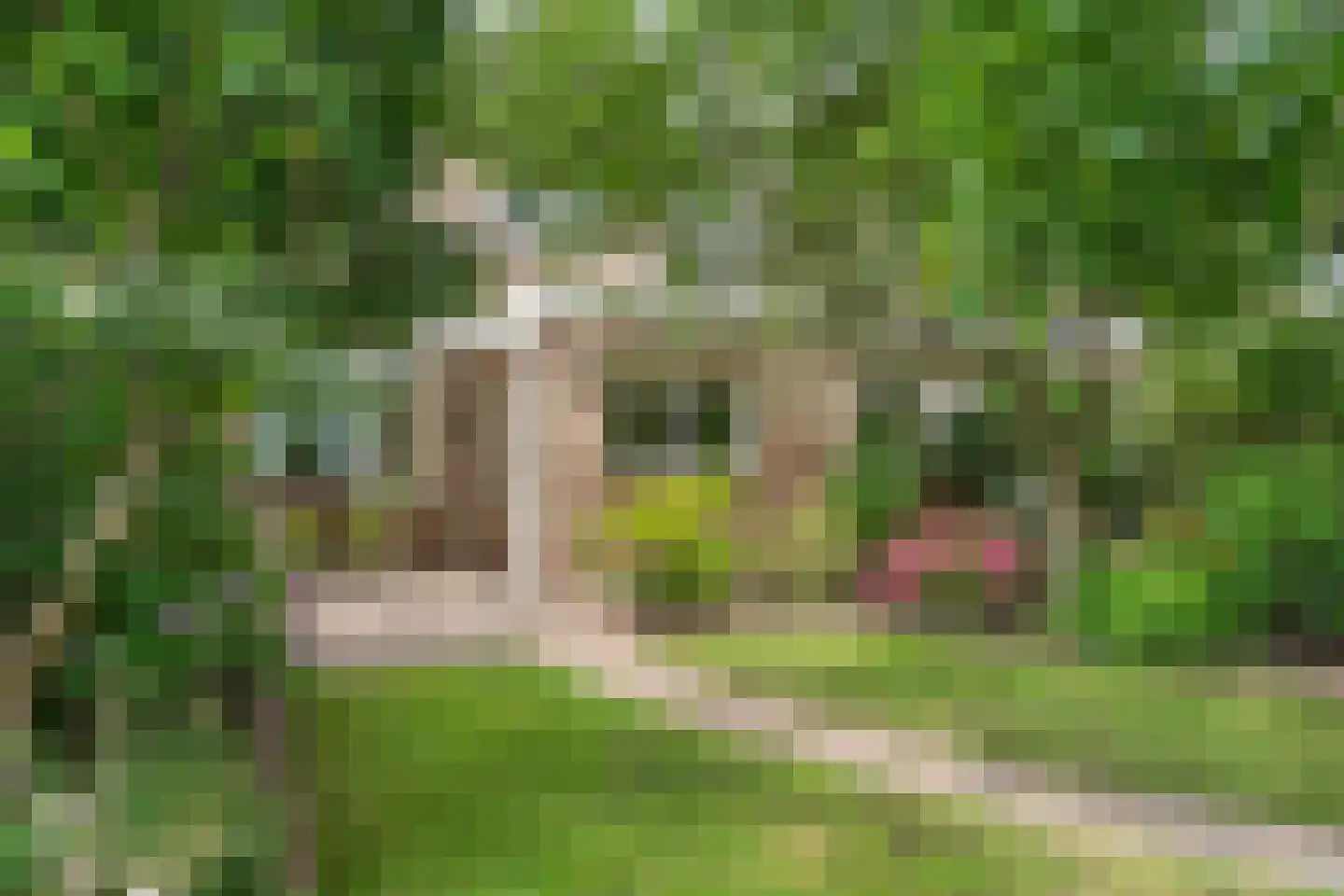 Burgemeester C. van de Werkenstraat 4 Hedel thumbnail 33
