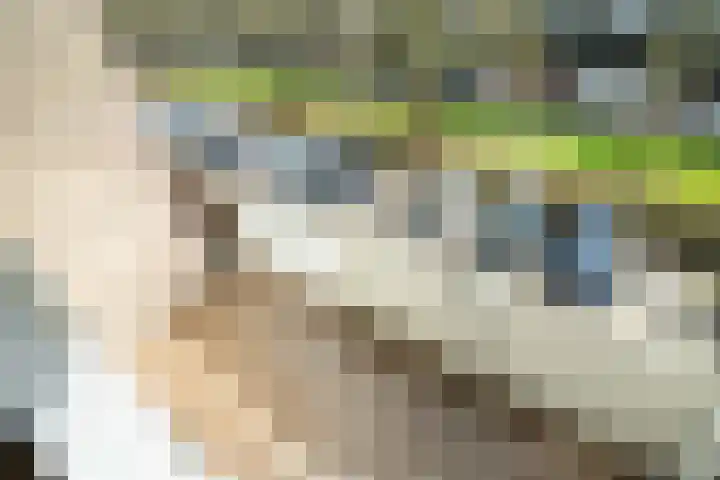 Burgemeester Caan van Necklaan 498 Leidschendam thumbnail 4