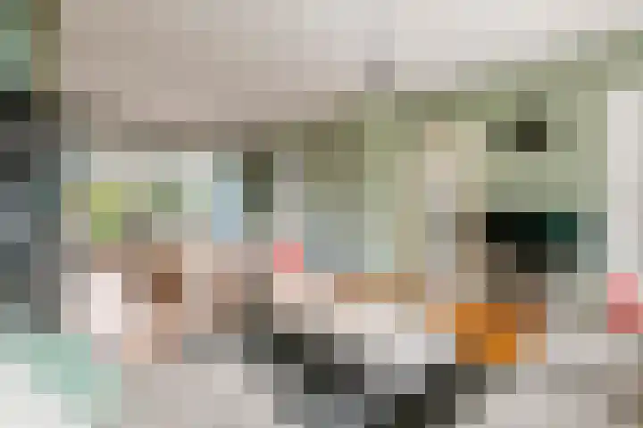 Burgemeester Cambier van Nootenlaan 12 Tiel thumbnail 14