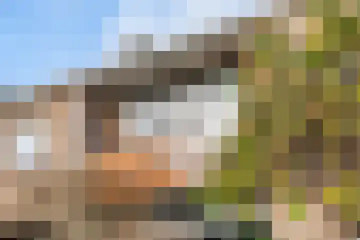 Burgemeester Cambier van Nootenlaan 12 Tiel thumbnail 32