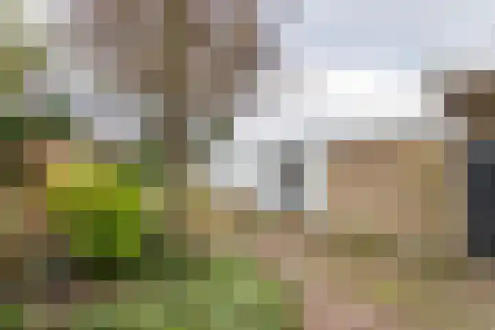 Burgemeester Cambier van Nootenlaan 12 Tiel thumbnail 4