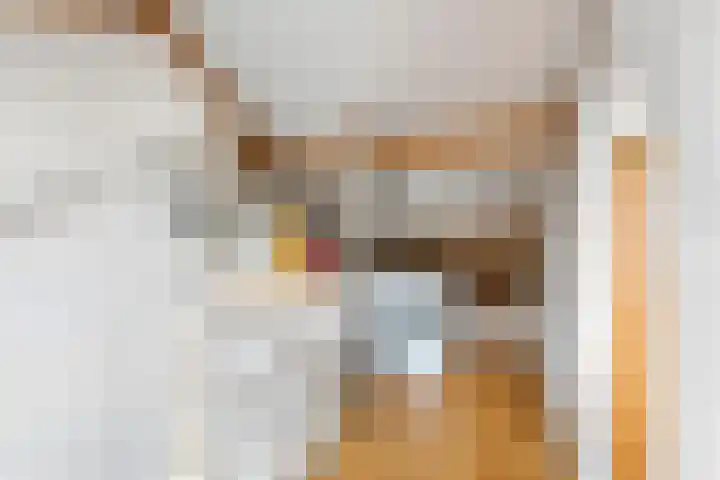 Burgemeester Cambier van Nootenlaan 12 Tiel thumbnail 47