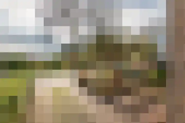 Burgemeester Cambier van Nootenlaan 12 Tiel thumbnail 5