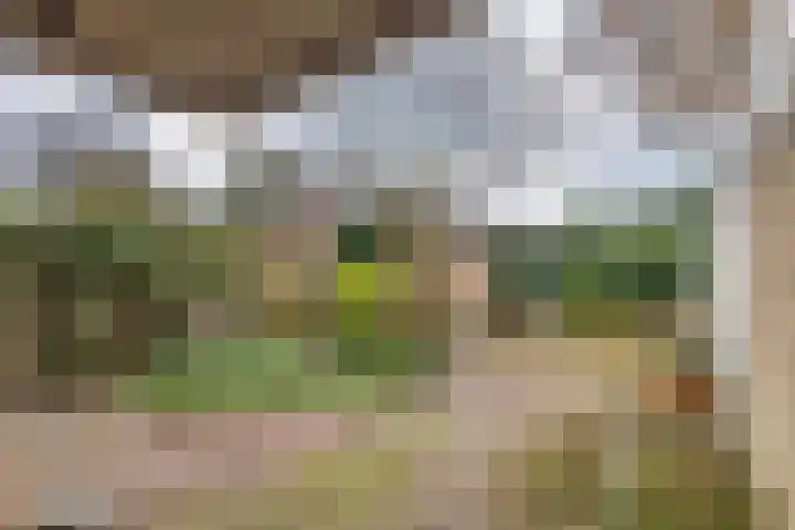 Burgemeester Cambier van Nootenlaan 12 Tiel thumbnail 6